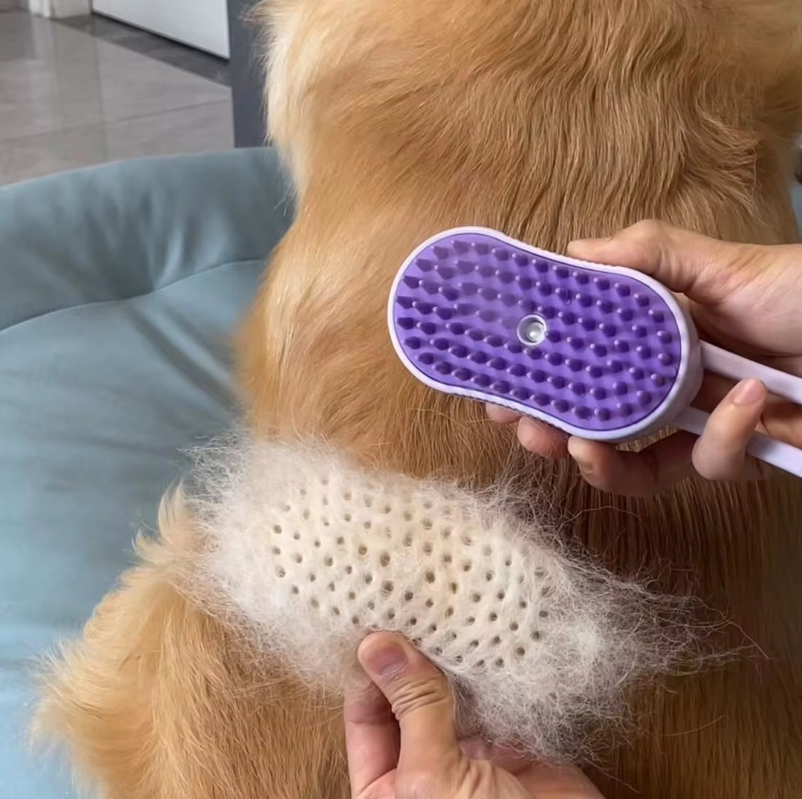 Fellfrei Bürste - Ideal zum Bürsten von Hund & Katzen